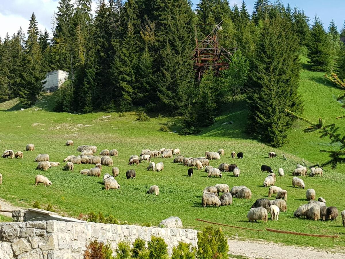 Enjoy The Silence Holiday Home Влашич Екстериор снимка